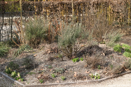 Pot za spomin v Arboretumu Volčji Potok povezuje generacije in krepi demenci prijazno okolje (18)